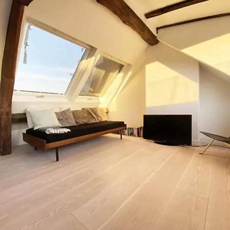 Duplex With Terrasse And View On Eiffel Tower * 巴黎