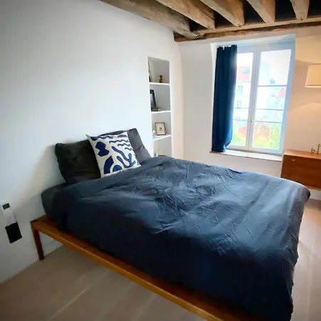 Lejlighed Duplex With Terrasse And View On Eiffel Tower Paris